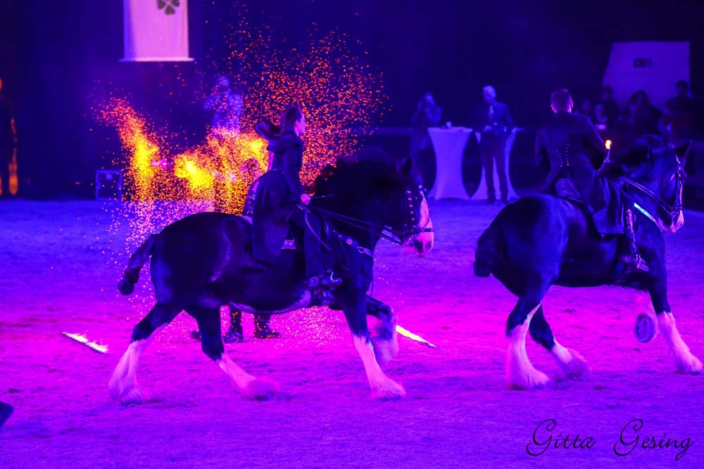 Royal Dawn, Feuershow Hund & Pferd 2018
